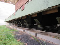 IMG_1441_5