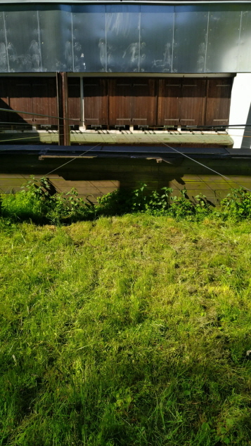 Lupistand-0005