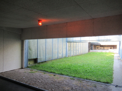 Pistole-26