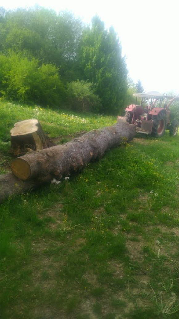 Vereinsheim-56