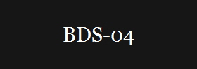 BDS-04